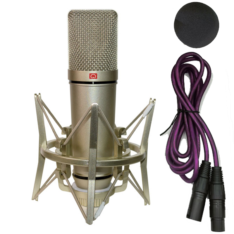 Professional Condenser Microph - đánh giá và giá Shure Mic Sm58