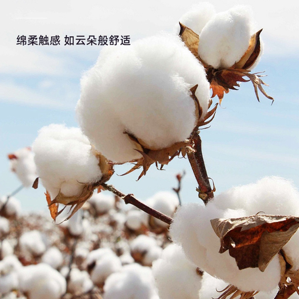 5.0/3.0/2.5mm Rubber Head Orga - đánh giá và giá Cotton Wick Organic